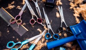 In-Home Senior Hairdresser Birmingham