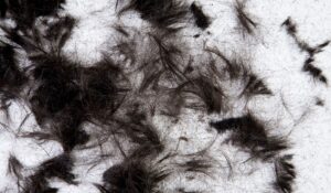 Birmingham Senior Hairstyling Services